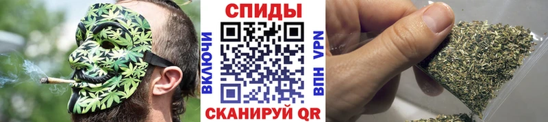 где найти   Гусев  БУТИРАТ буратино 