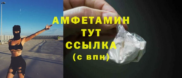 шишки Бронницы