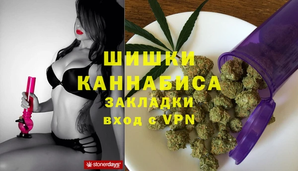 шишки Бронницы