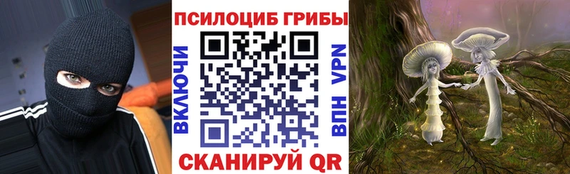 Галлюциногенные грибы Psilocybe  Гусев 